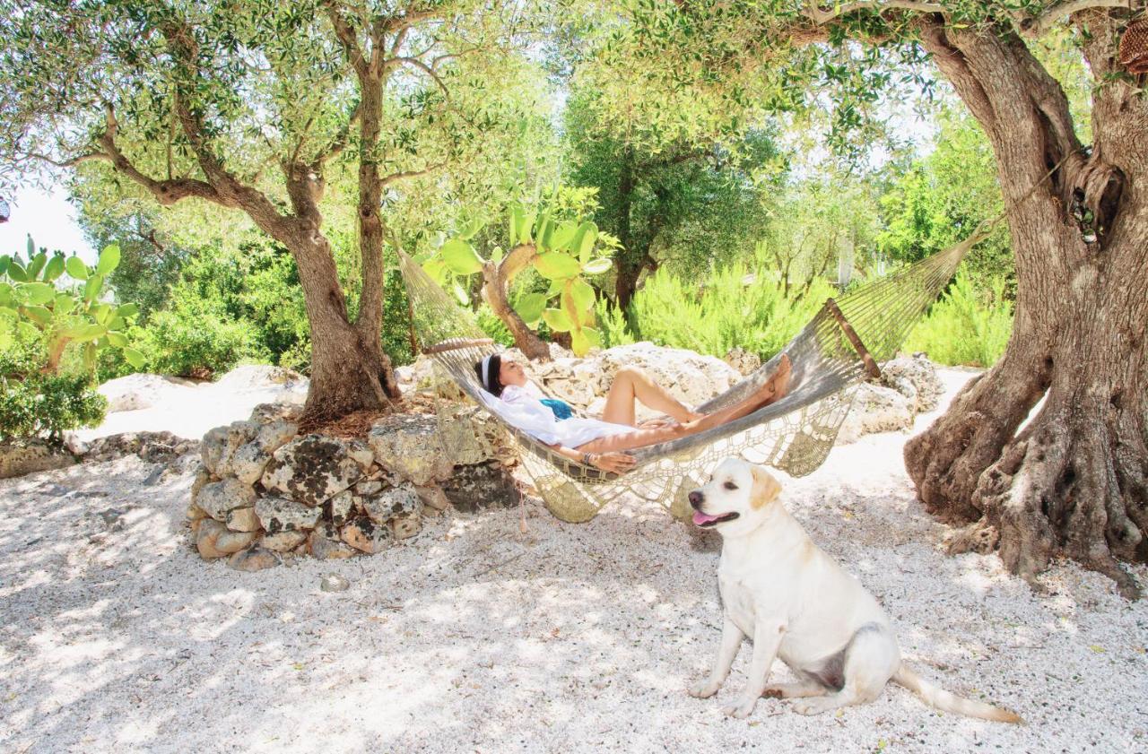 Puntebianche B&B Ceglie Messapica Dış mekan fotoğraf