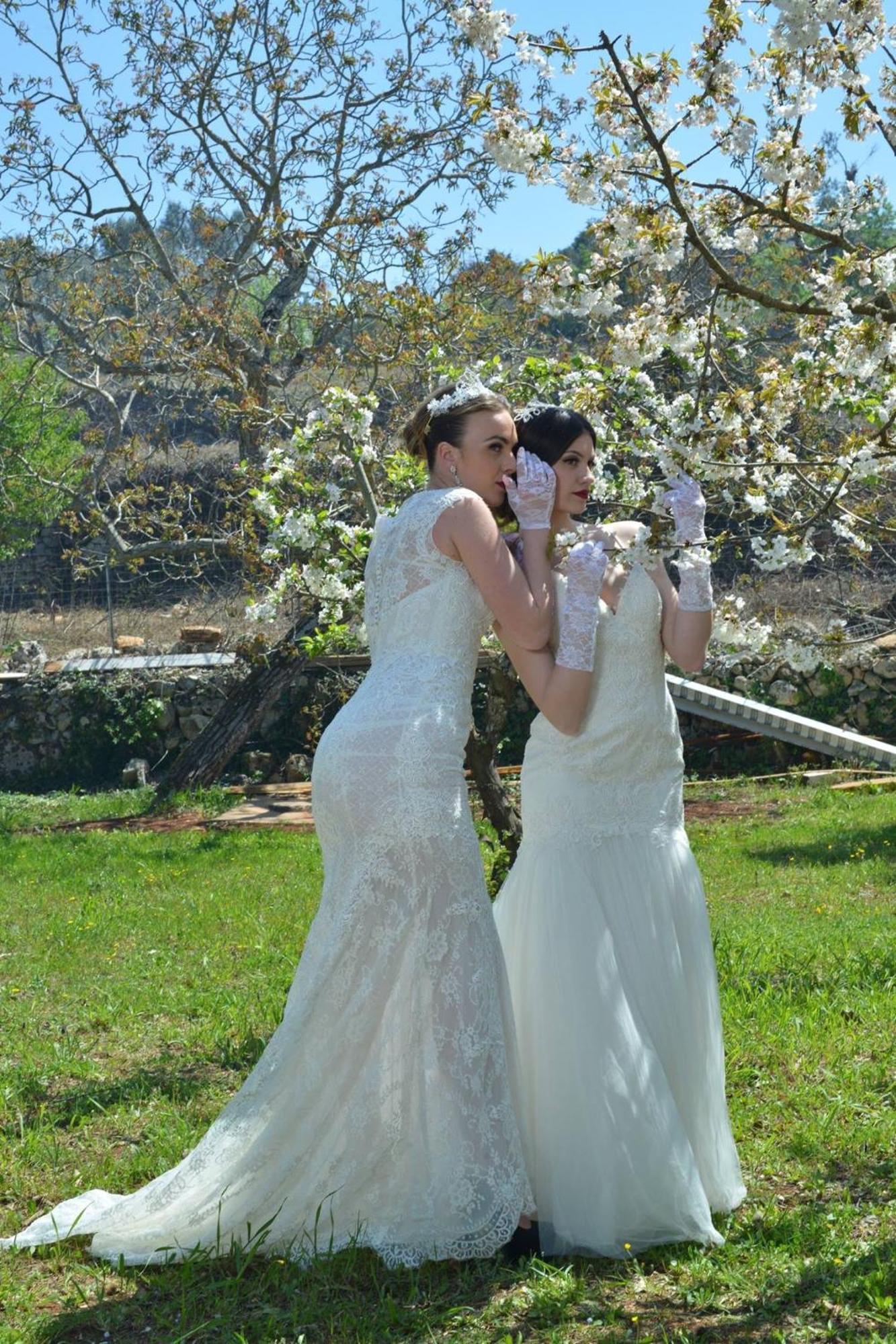 Puntebianche B&B Ceglie Messapica Dış mekan fotoğraf